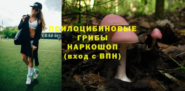 гашишное масло Инсар