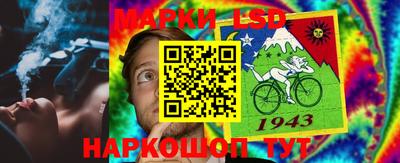 ешки Вязьма