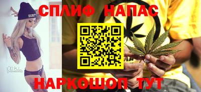 ешки Вязьма