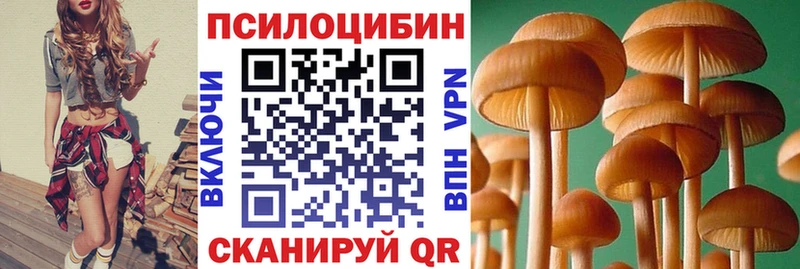 сколько стоит  Валуйки  omg сайт  Псилоцибиновые грибы GOLDEN TEACHER 
