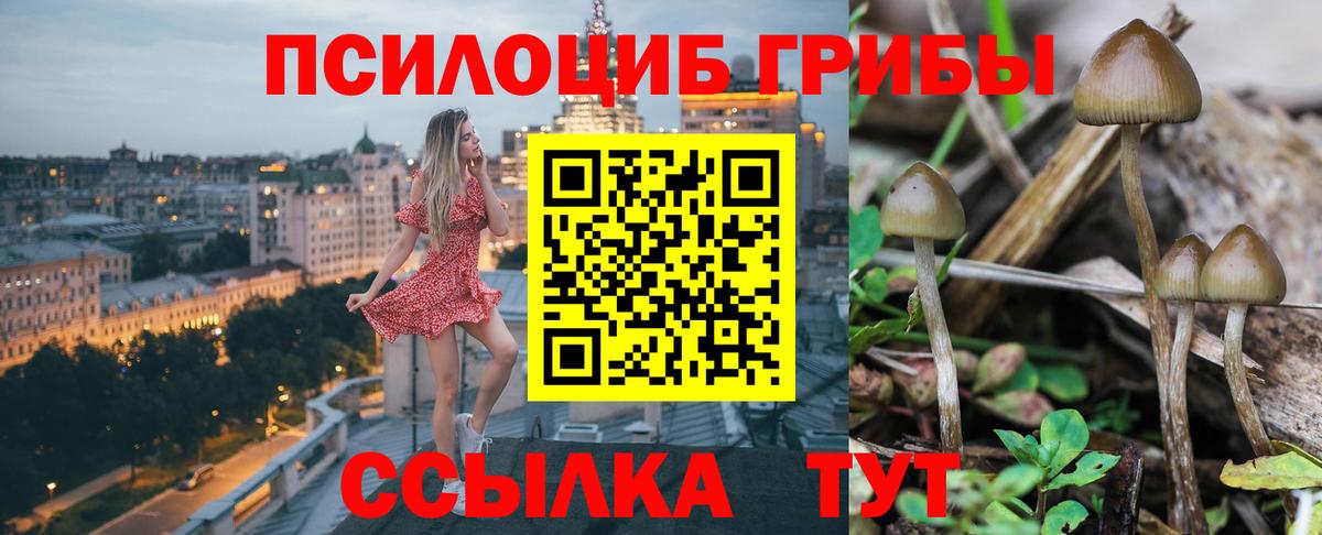 Валуйки  Галлюциногенные грибы Psilocybe  Вход с VPN 