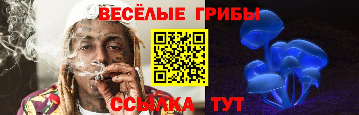 Псилоцибиновые грибы Psilocybe Валуйки